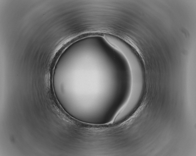 X0000113270781200909241542