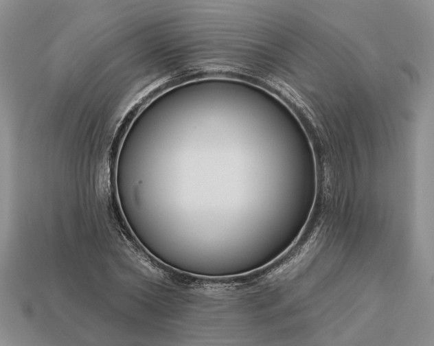 X0000113270782200909241542