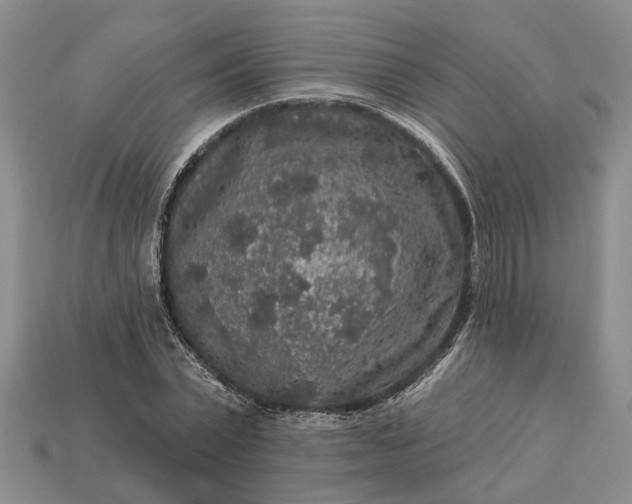 X0000113270783200909241542