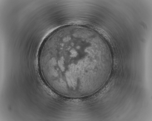 X0000113270784200909241542