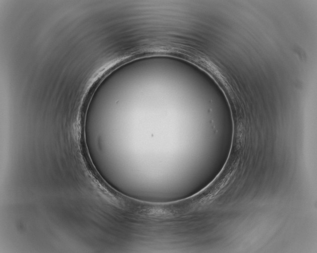 X0000113270787200909241542