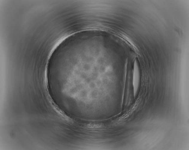 X0000113270788200909241542