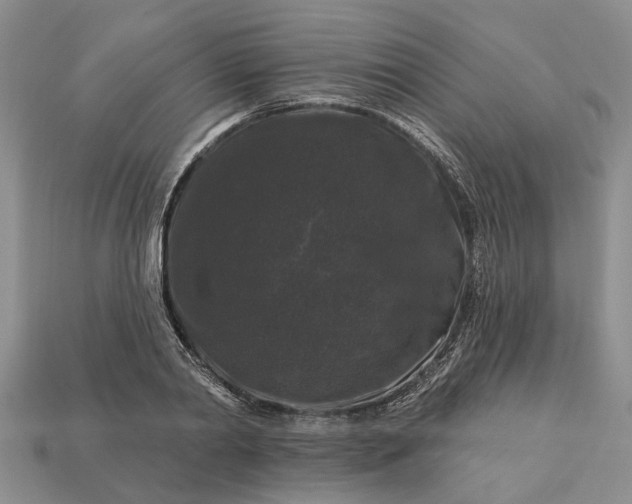 X0000113270790200909241542