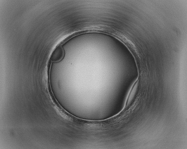 X0000113270792200909241542