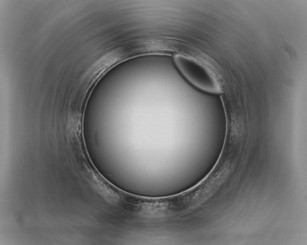 X0000113270793200909241542
