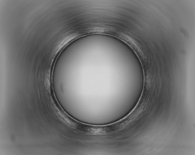 X0000113270794200909241542