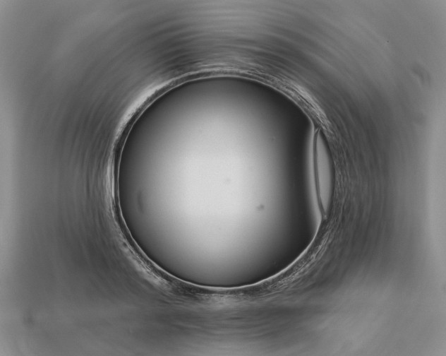 X0000113270796200909241542