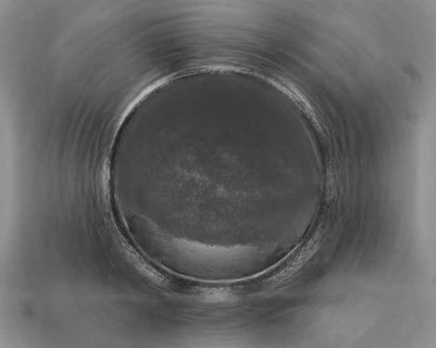 X0000113270798200909241542