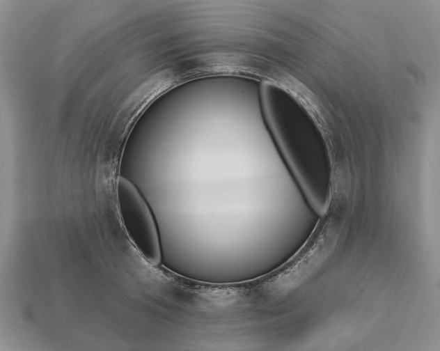 X0000113270801200909241542