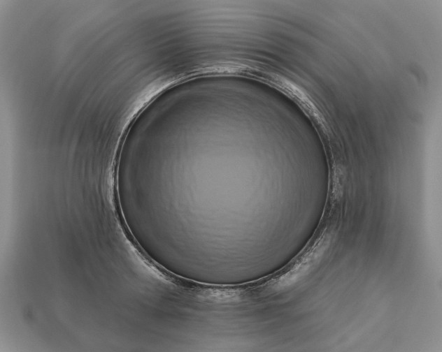 X0000113270802200909241542