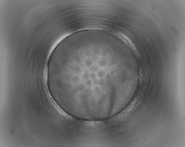 X0000113270804200909241542