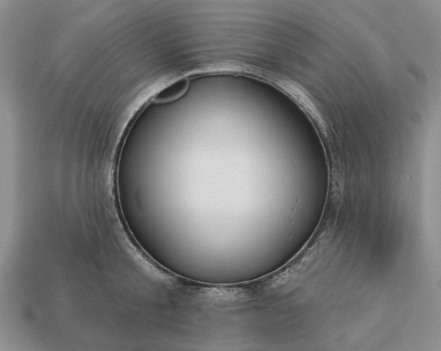 X0000113270805200909241542
