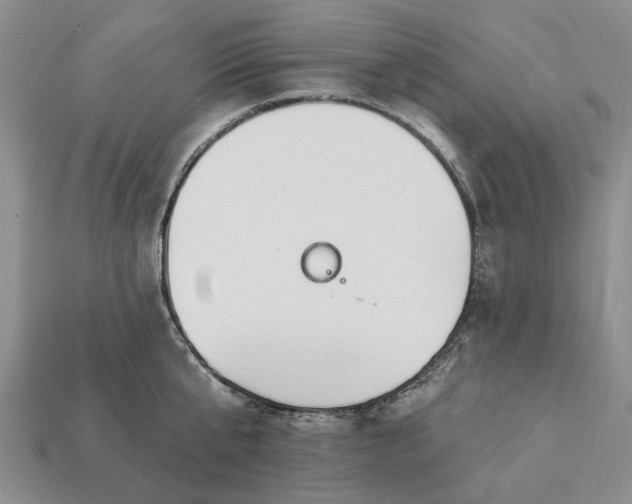 X0000113270807200909241542