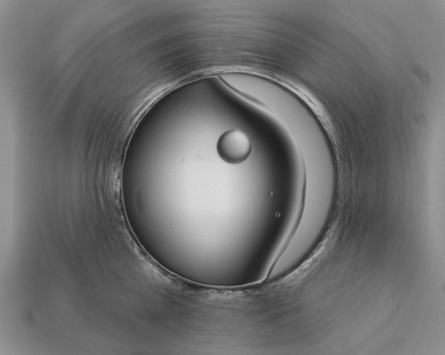 X0000113270809200909241542