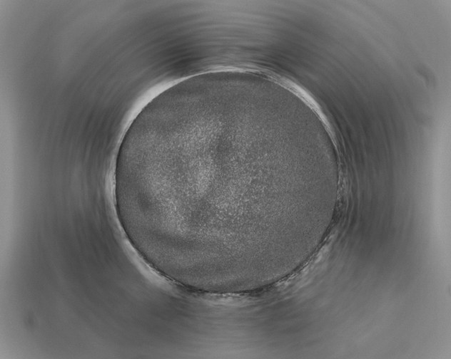 X0000113270811200909241542