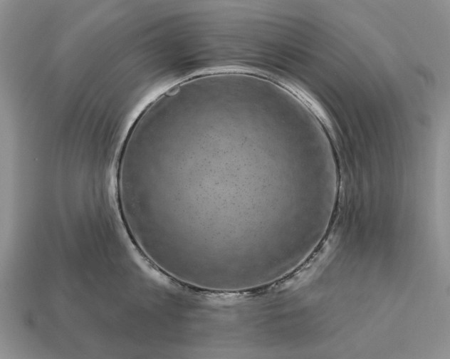 X0000113270813200909241542
