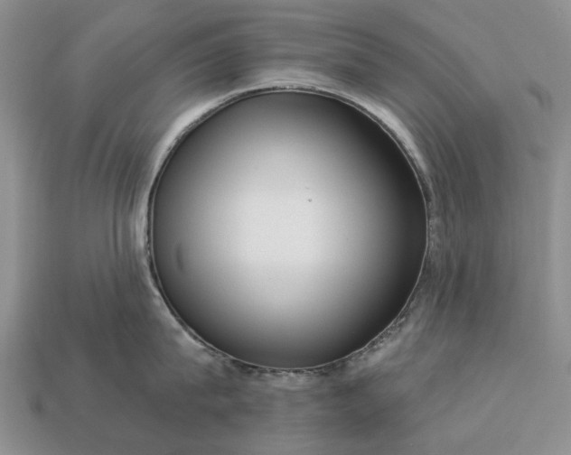 X0000113270815200909241542
