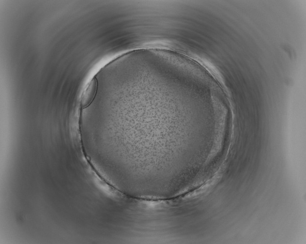 X0000113270816200909241542