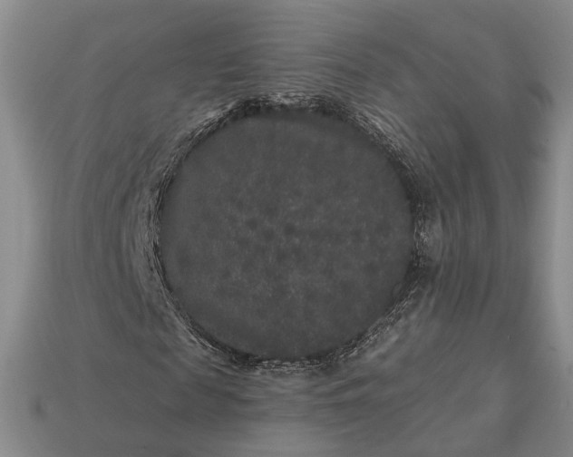 X0000113270817200909241541