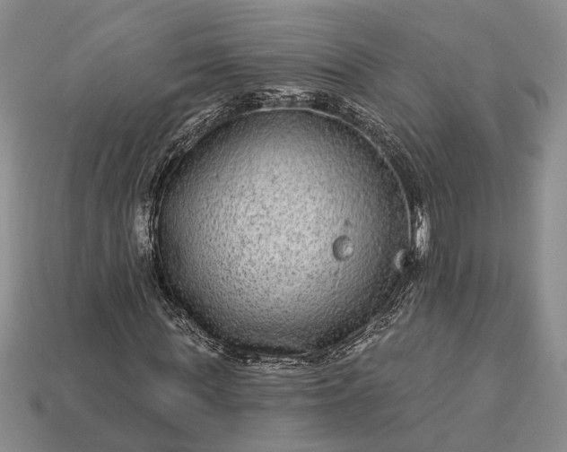 X0000113270819200909241541