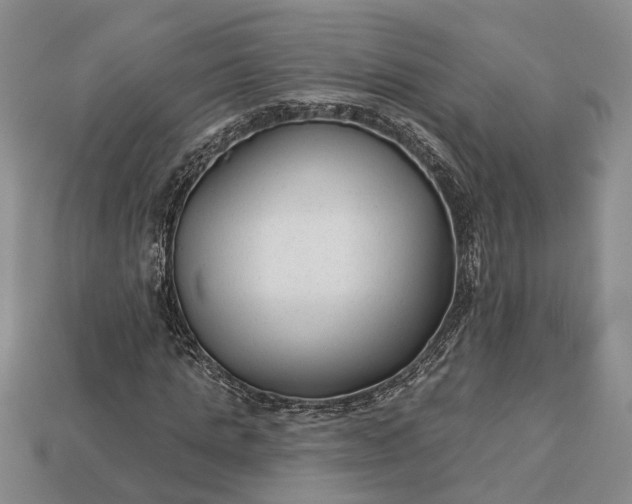 X0000113270821200909241541