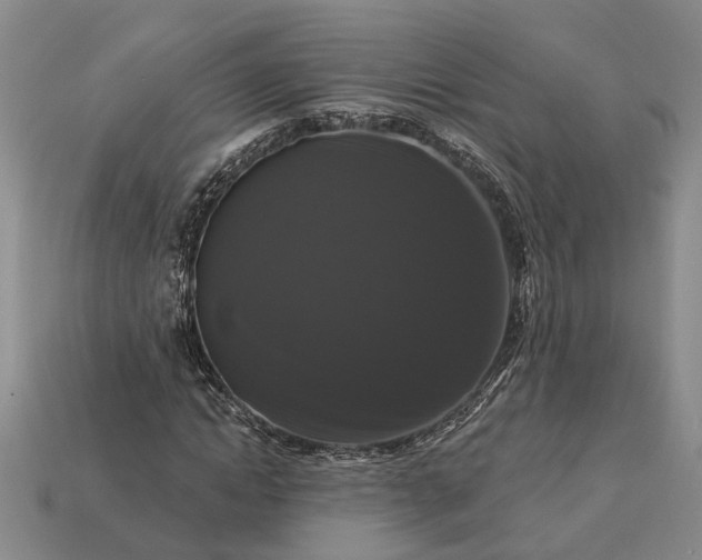 X0000113270822200909241541