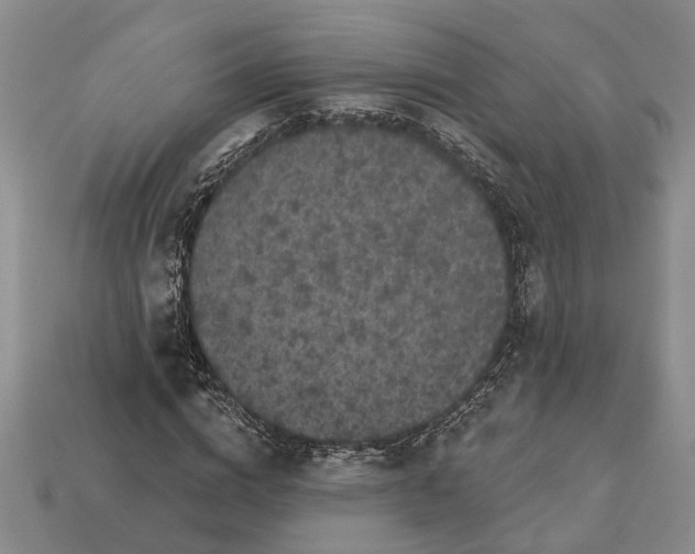 X0000113270824200909241541