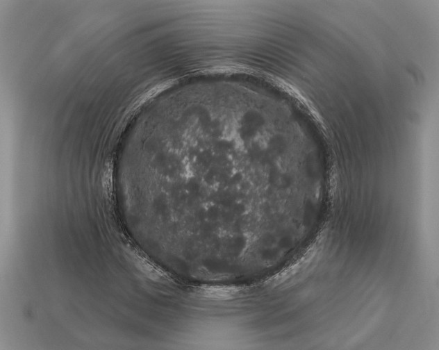 X0000113270825200909241541