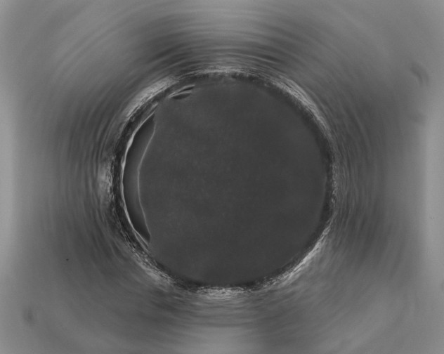 X0000113270826200909241541