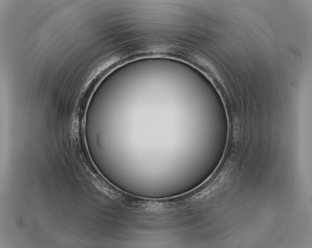 X0000113270827200909241541