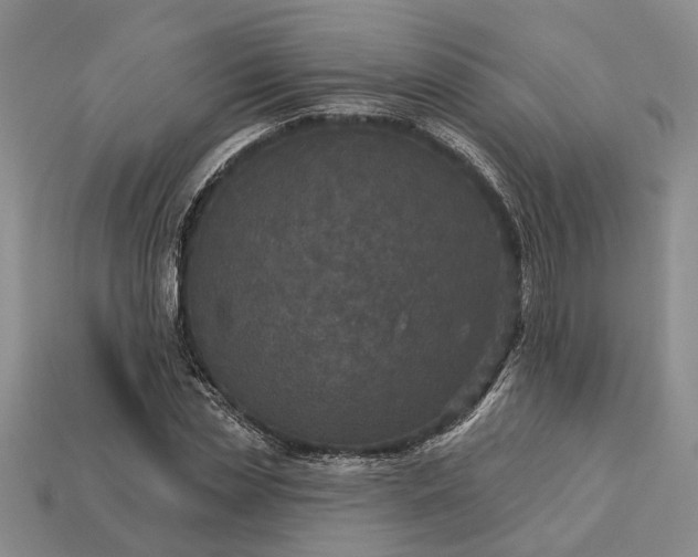 X0000113270829200909241541