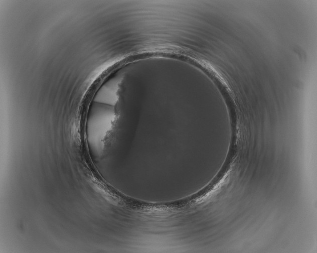 X0000113270830200909241541