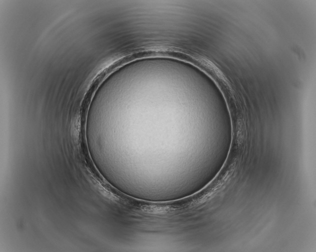 X0000113270831200909241541