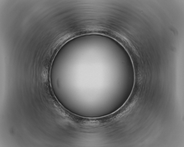 X0000113270833200909241541