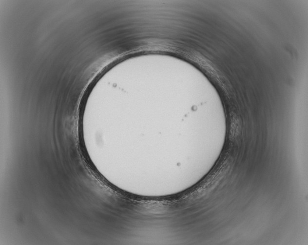 X0000113270836200909241541