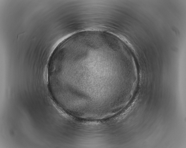 X0000113270838200909241541