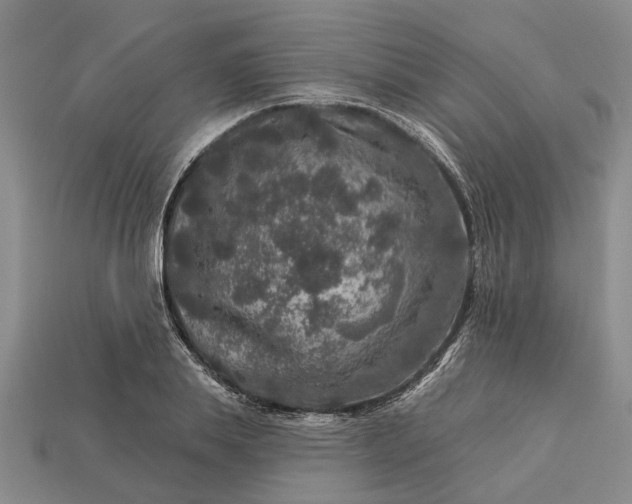 X0000113270839200909241541