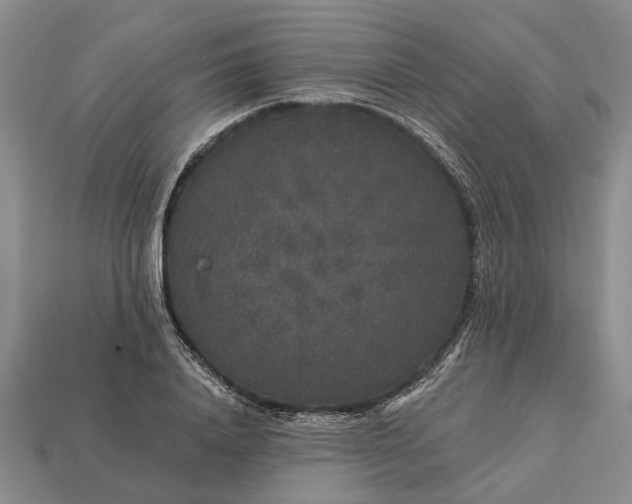 X0000113270840200909241541