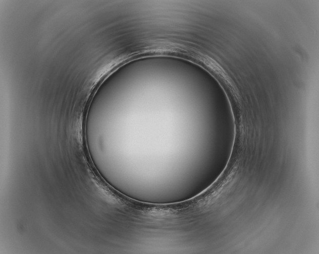 X0000113270842200909241541