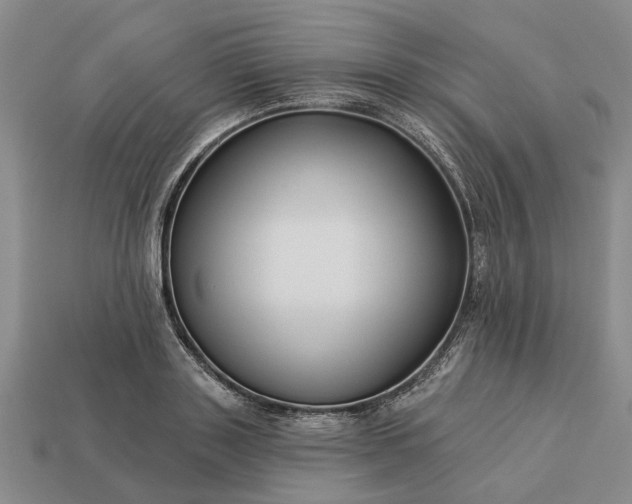 X0000113270843200909241541