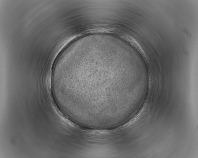X0000113270844200909241541