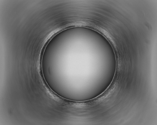 X0000113270845200909241541