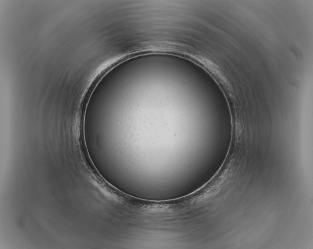 X0000113270846200909241541