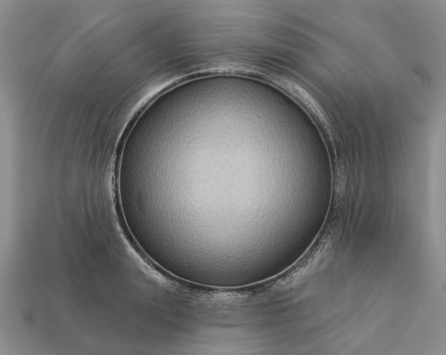 X0000113270847200909241541