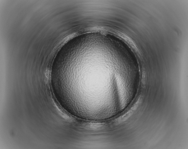 X0000113270849200909241541