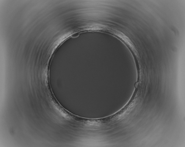 X0000113270850200909241542