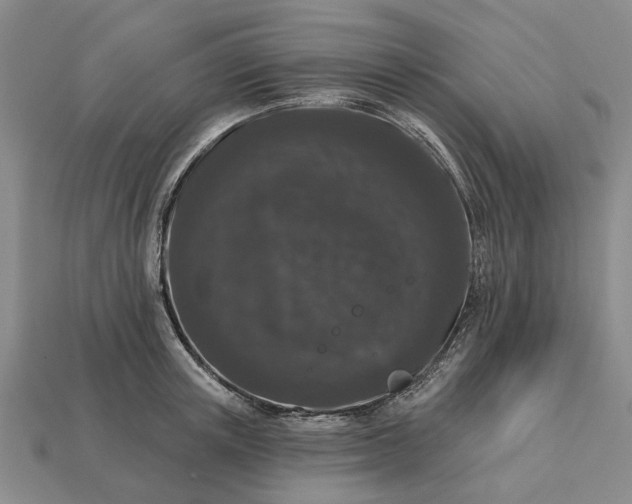 X0000113270851200909241542