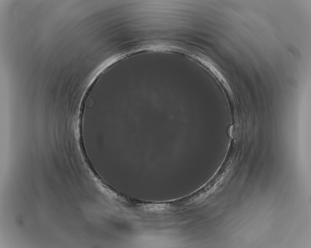 X0000113270853200909241542