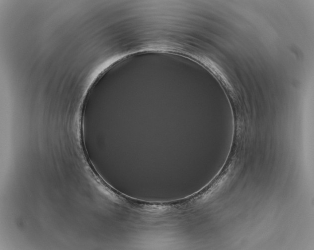 X0000113270854200909241542