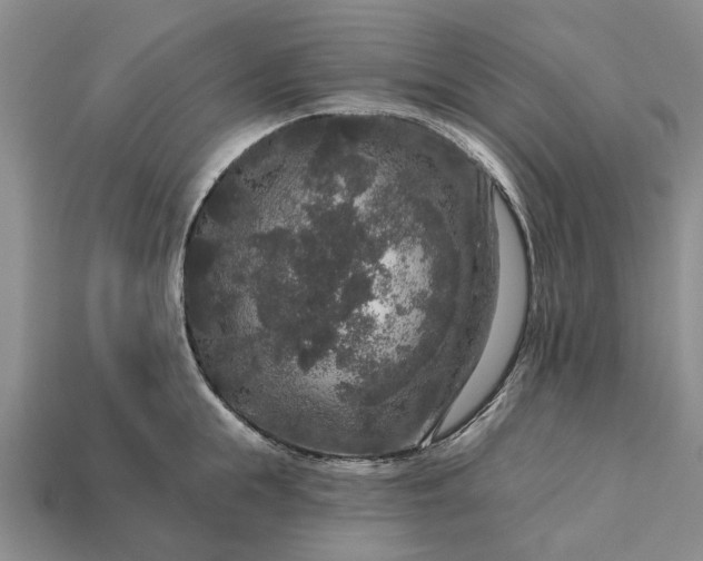 X0000113270855200909241542